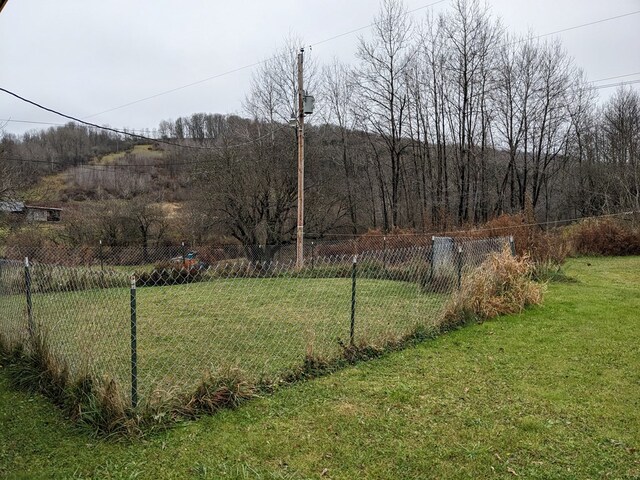 2703 Phoenix Run Rd, Sabinsville, PA 16943 - view of yard