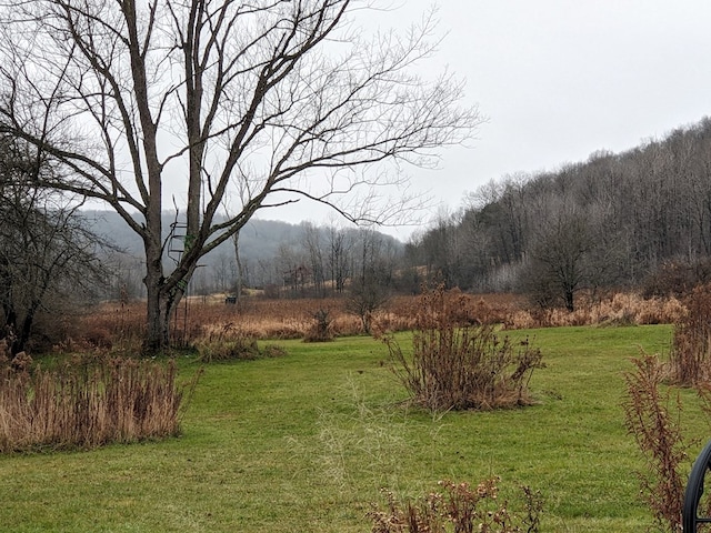 2703 Phoenix Run Rd, Sabinsville, PA 16943 - view of green lawn featuring a forest view