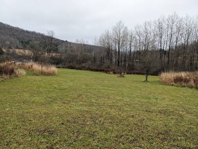 view of yard with a mountain view