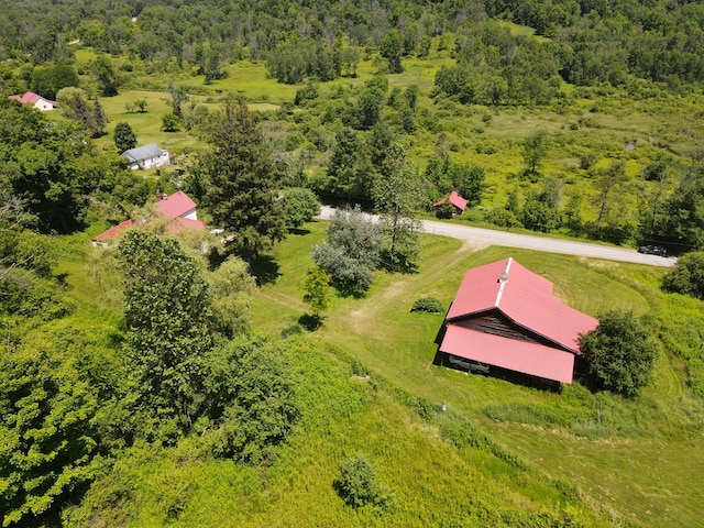 971 Indian Creek Rd, Eldred, PA 16731 - aerial view of a forest
