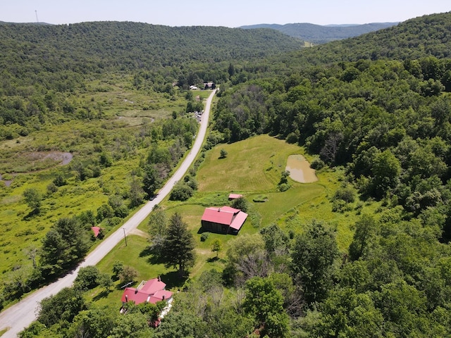 971 Indian Creek Rd, Eldred, PA 16731 - drone / aerial view of a forest