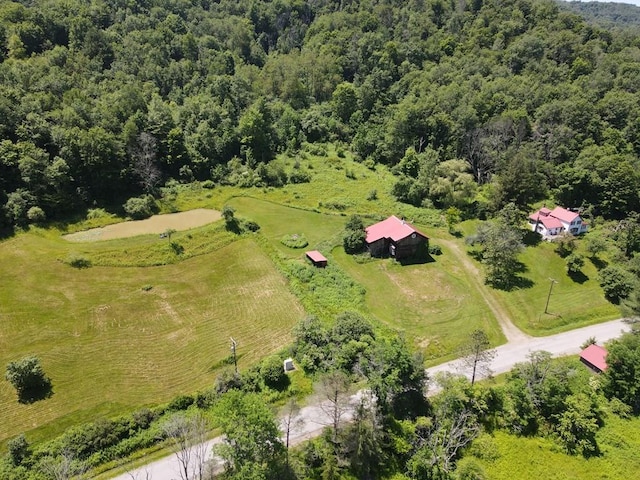 971 Indian Creek Rd, Eldred, PA 16731 - aerial view of sparsely populated area featuring a forest