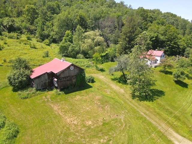 971 Indian Creek Rd, Eldred, PA 16731 - view from above of property featuring a heavily wooded area