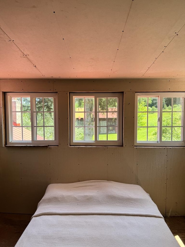 971 Indian Creek Rd, Eldred, PA 16731 - bedroom with multiple windows