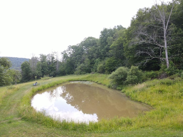 971 Indian Creek Rd, Eldred, PA 16731 - water view featuring a forest