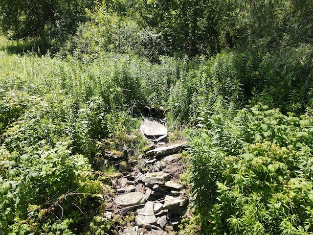 971 Indian Creek Rd, Eldred, PA 16731 - view of undeveloped land