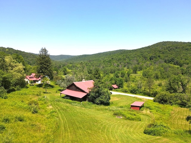 971 Indian Creek Rd, Eldred, PA 16731 - view from above of property featuring a heavily wooded area