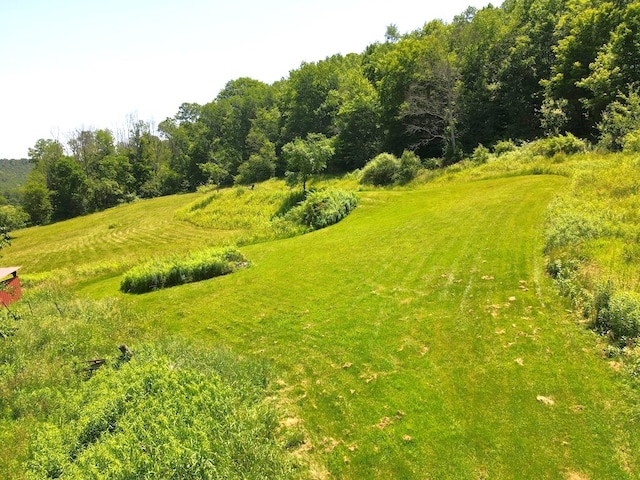 971 Indian Creek Rd, Eldred, PA 16731 - view of yard
