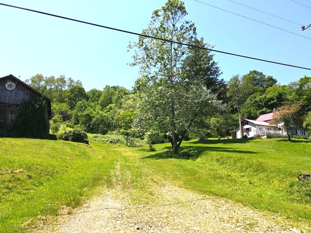 971 Indian Creek Rd, Eldred, PA 16731 - view of yard with a barn and an outdoor structure
