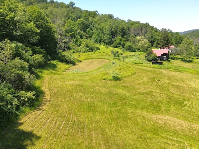 971 Indian Creek Rd, Eldred, PA 16731 - aerial view