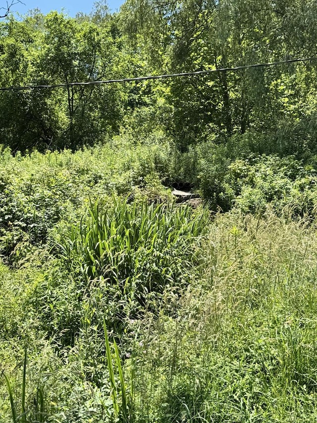 971 Indian Creek Rd, Eldred, PA 16731 - view of local wilderness