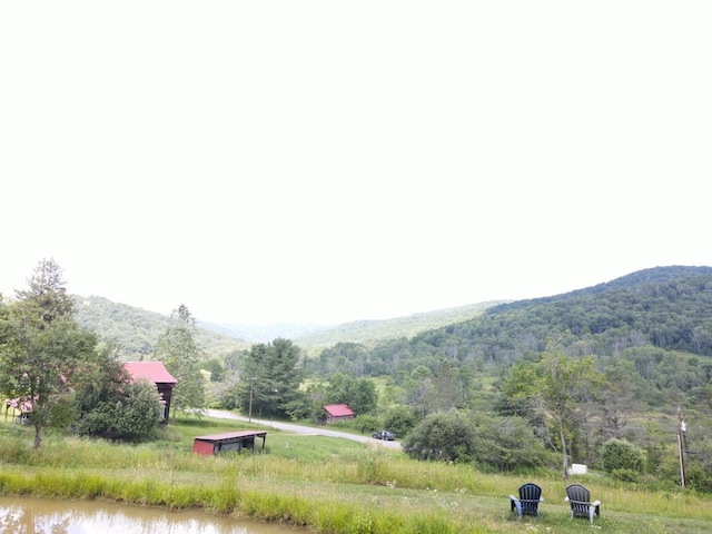 971 Indian Creek Rd, Eldred, PA 16731 - view of mountain backdrop featuring a forest