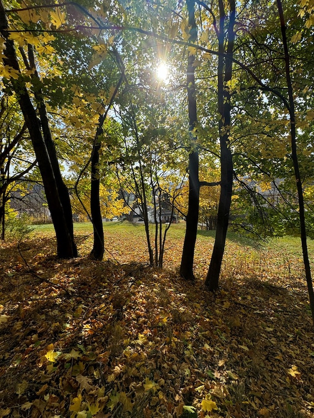 view of landscape