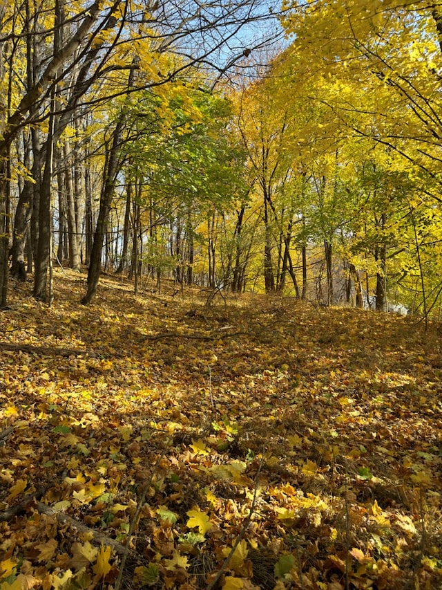 view of nature