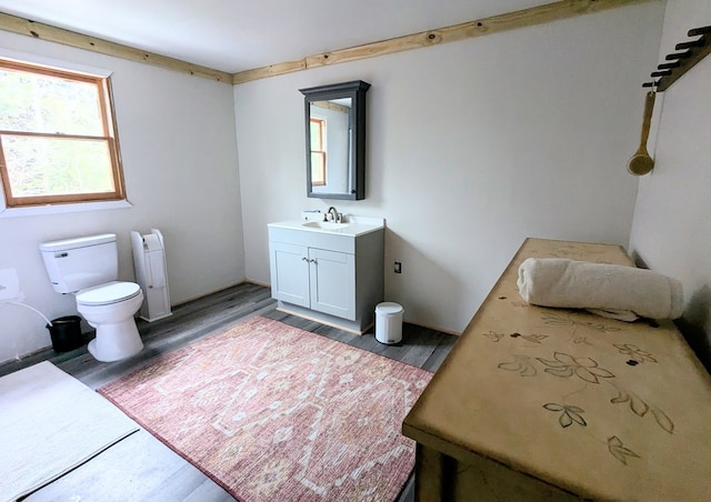 bathroom with vanity, wood finished floors, and toilet