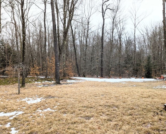 yard layered in snow with a wooded view