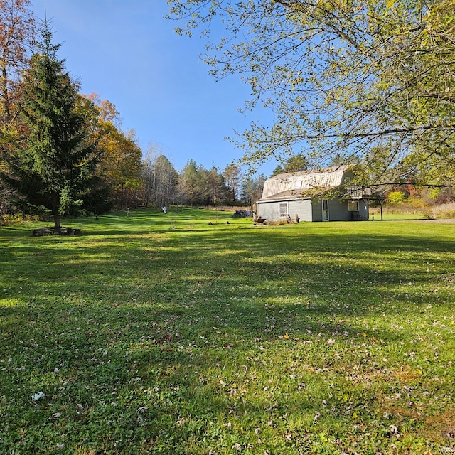 view of yard