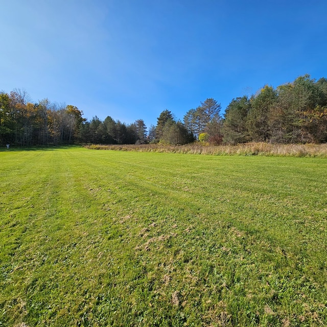 view of yard featuring a rural view