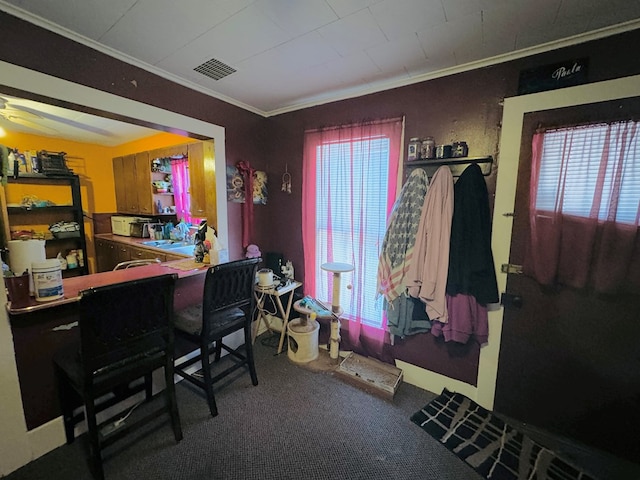 carpeted office space with ceiling fan and crown molding