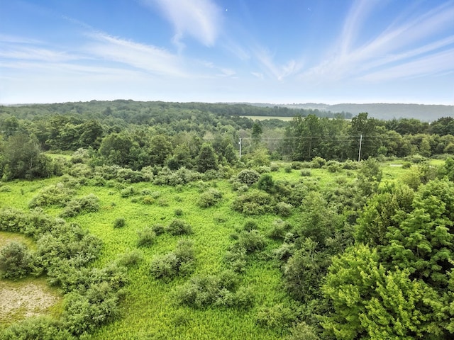 0 Rumsey Rd, Sayre, PA 18840 - photo 4