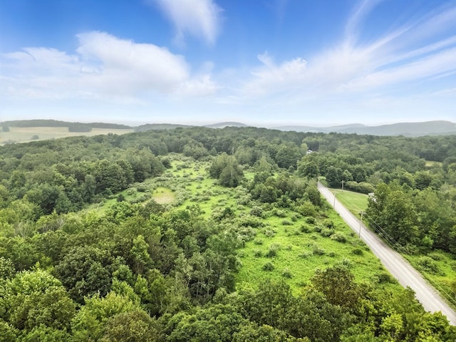 0 Rumsey Rd, Sayre, PA 18840 - photo 8