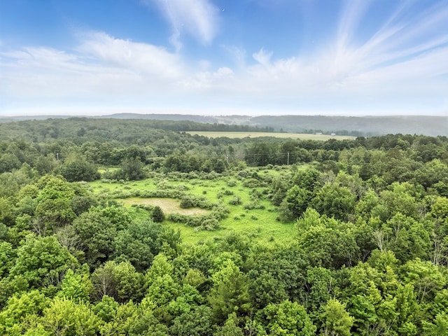 0 Rumsey Rd, Sayre, PA 18840 - photo 9