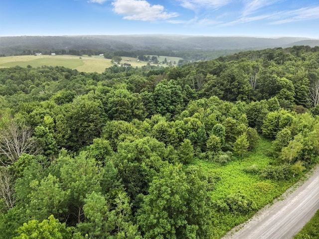 0 Rumsey Rd, Sayre, PA 18840 - photo 5