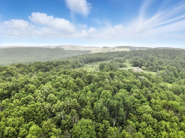 0 Rumsey Rd, Sayre, PA 18840 - photo 6