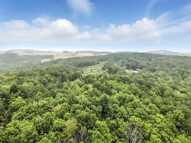0 Rumsey Rd, Sayre, PA 18840 - photo 7