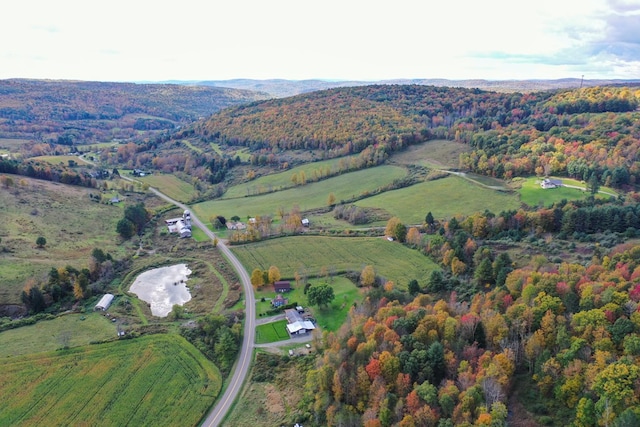 aerial view with a rural view