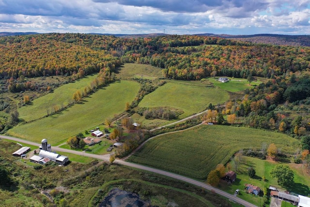 bird's eye view with a rural view