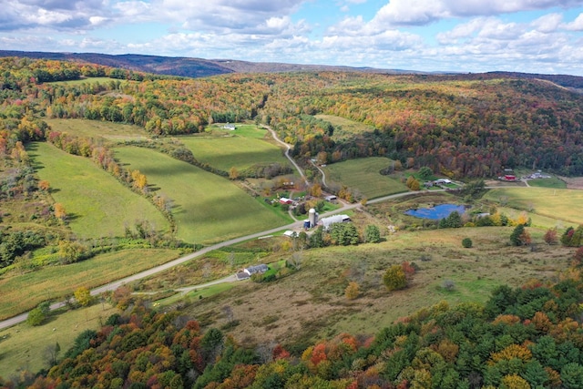 birds eye view of property with a rural view