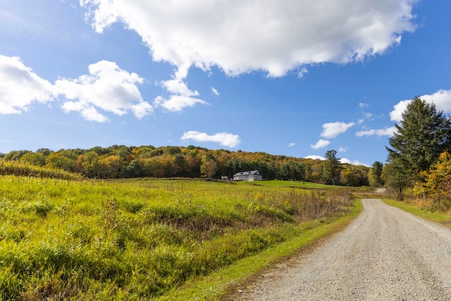 view of road with a rural view