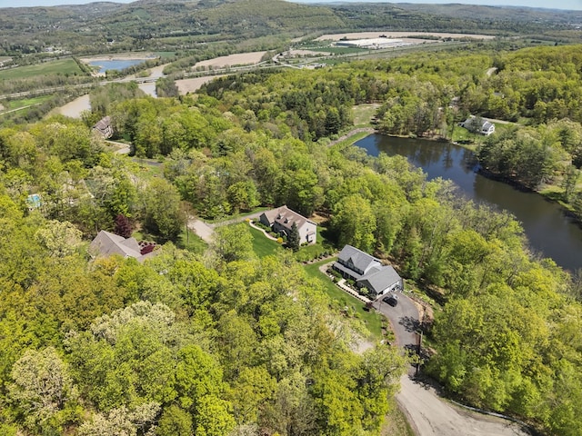 335 Sullivan Dr, Sayre, PA 18840 - view of property location featuring a nearby body of water and a heavily wooded area