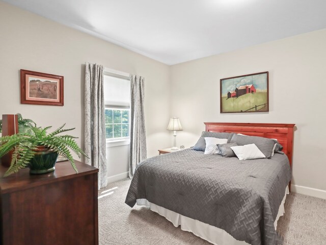 335 Sullivan Dr, Sayre, PA 18840 - bedroom featuring light carpet and baseboards