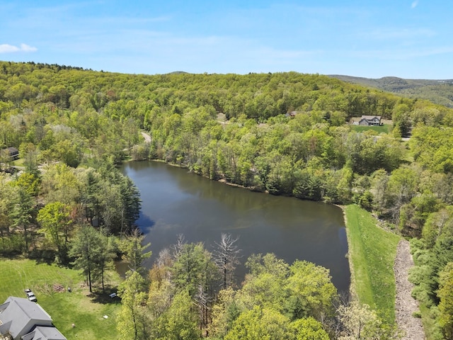 335 Sullivan Dr, Sayre, PA 18840 - aerial view of a forest and a large body of water