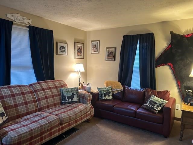 carpeted living room featuring a textured ceiling