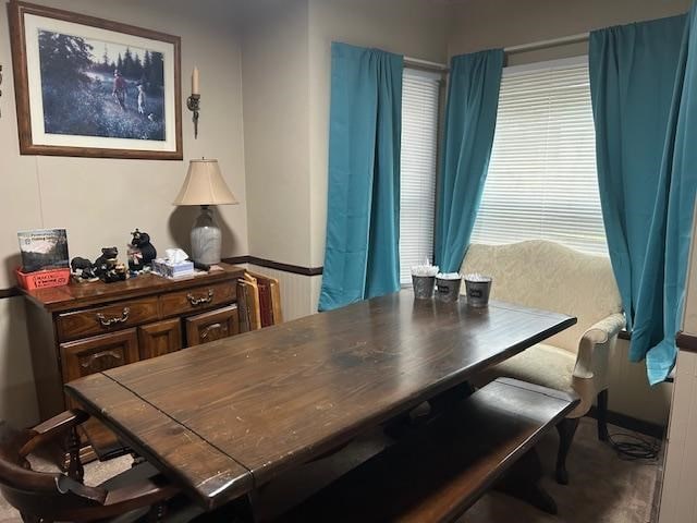 dining area featuring radiator