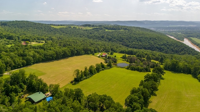 481 Case Rd, Sayre, PA 18840 - aerial view of sparsely populated area featuring a forest