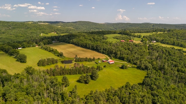 481 Case Rd, Sayre, PA 18840 - bird's eye view of a heavily wooded area