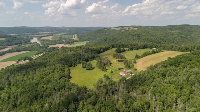 481 Case Rd, Sayre, PA 18840 - aerial view of property's location featuring a forest and rural landscape