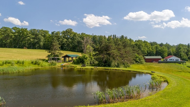481 Case Rd, Sayre, PA 18840 - water view featuring a heavily wooded area