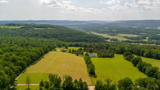 481 Case Rd, Sayre, PA 18840 - overview of rural landscape