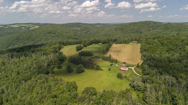 481 Case Rd, Sayre, PA 18840 - aerial view of property's location with a forest and rural landscape