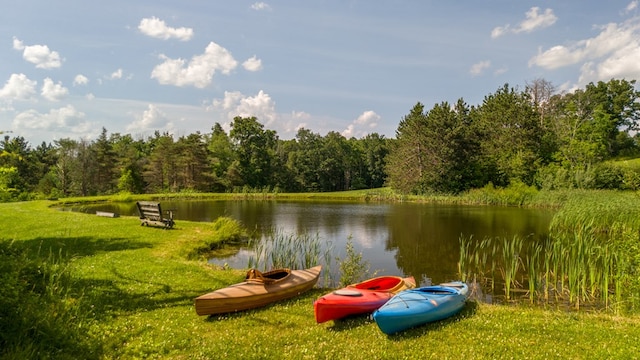 481 Case Rd, Sayre, PA 18840 - water view with a heavily wooded area