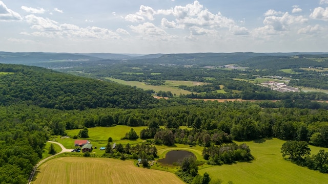 481 Case Rd, Sayre, PA 18840 - drone / aerial view of a forest