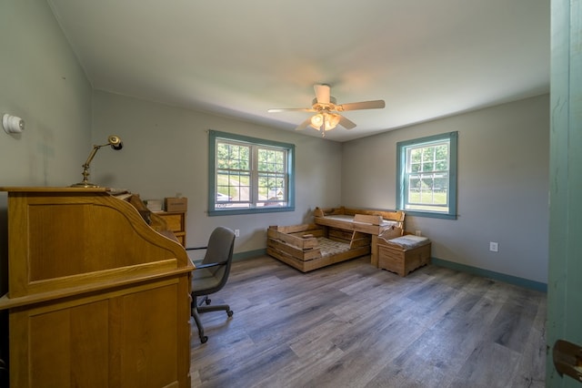481 Case Rd, Sayre, PA 18840 - office space featuring healthy amount of natural light, ceiling fan, and wood finished floors