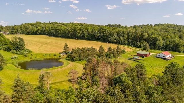 481 Case Rd, Sayre, PA 18840 - aerial view of a large body of water and a heavily wooded area