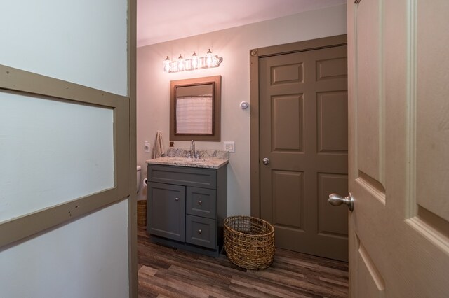 481 Case Rd, Sayre, PA 18840 - bathroom featuring vanity and wood finished floors