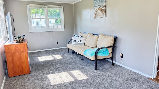 106 Magnolia St, Athens, PA 18810 - sitting room featuring carpet flooring and ornamental molding